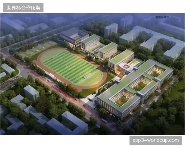 2026年后城市体育服务体系将彻底沦为单一赛事节点的流量供给站吗？